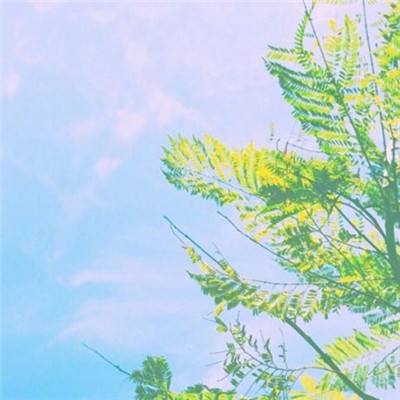 斩妖仙记游戏下载
